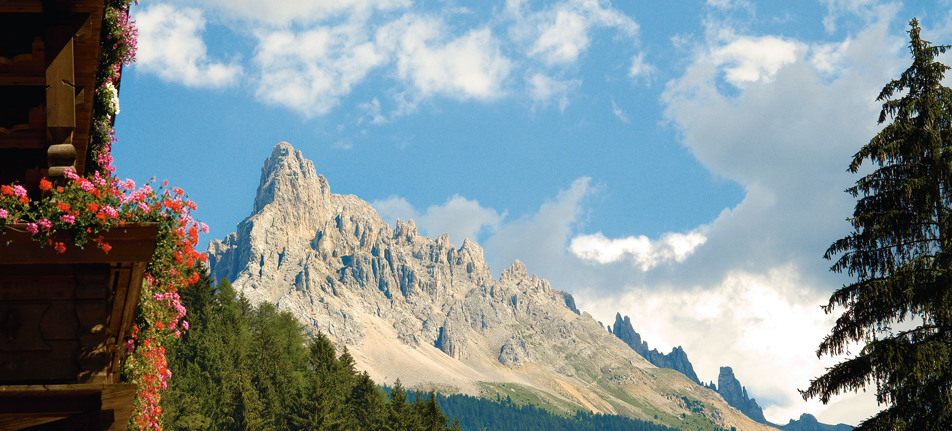 © 2023 Gasserhof